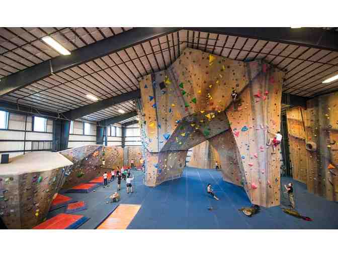 Staff Belay for 4 People at Central Rock Gym