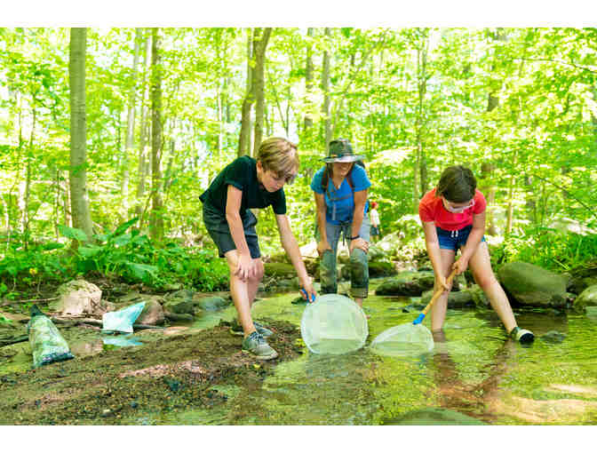 One Week of Camp at Nature Place in Rockland County