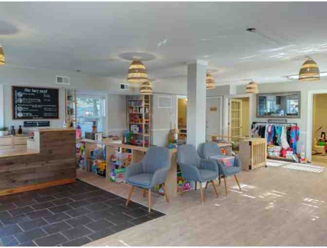 The Toy Nest: One Month Fledgling Membership