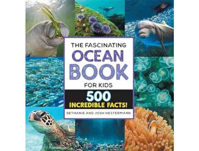 Class Basket: Nautical Necessities (Yanes)