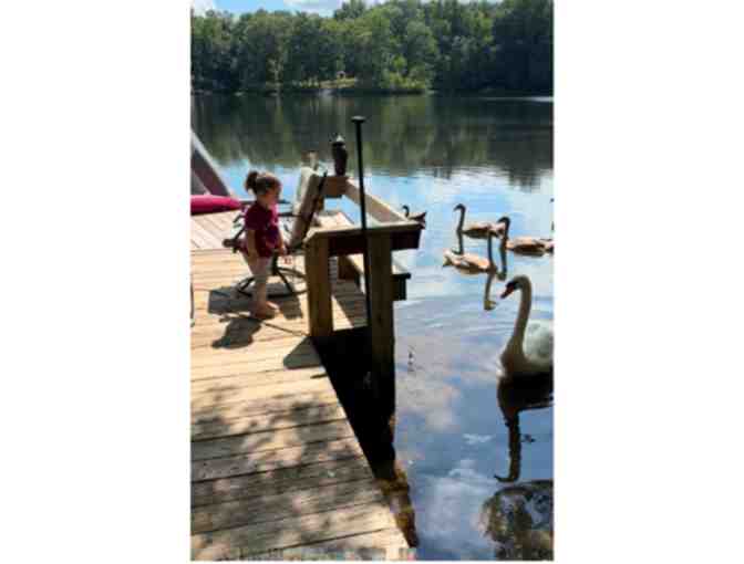 Class Basket: Escape to Adventure! The Ultimate Family Getaway (UE)