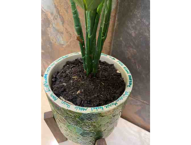 MSM Class Art: 'Rain Forest' (LE West)