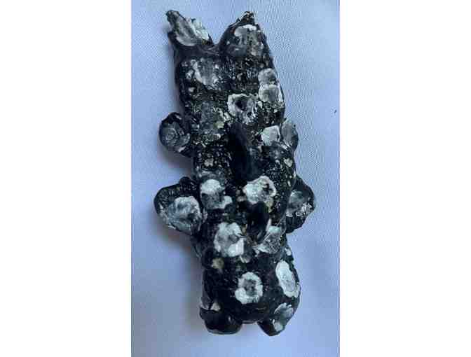 MSM Class Art: 'Paradise' (LE East)