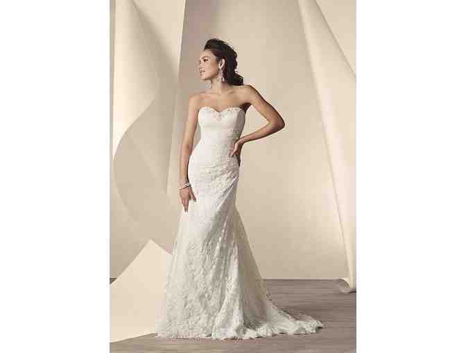 Alfred Angelo Signature Bridal Collection