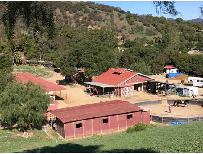 Horseback Riding Lessons at Topline (3) (Topanga)