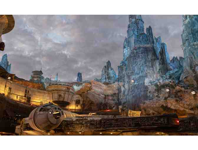 Disney World Dreaming