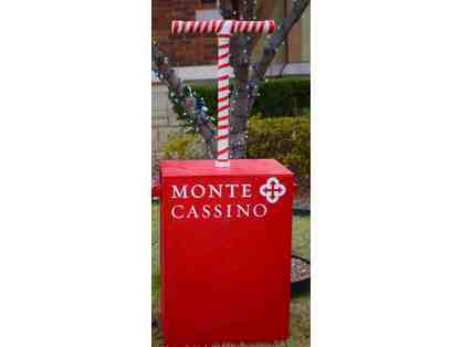 Plug in the lights at Monte Cassino Night of Lights!