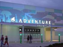 Family Explorer Membership at Adventure Aquarium