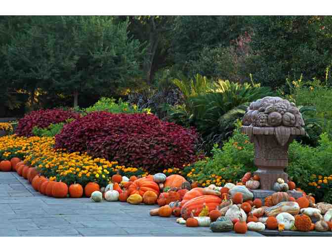 Dallas Arboretum Passes