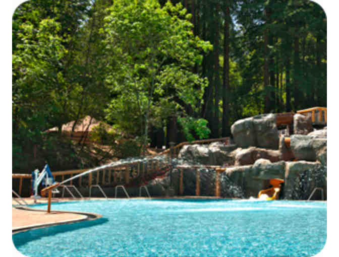 YMCA Camp Campbell: One Family Camp Weekend & Family Picnic Set & Whole Foods Gift Card