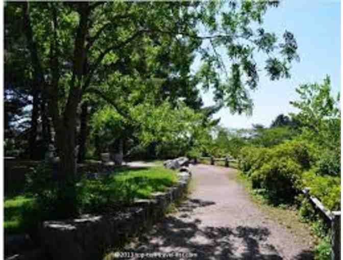 Private Tour of Arnold Arboretum