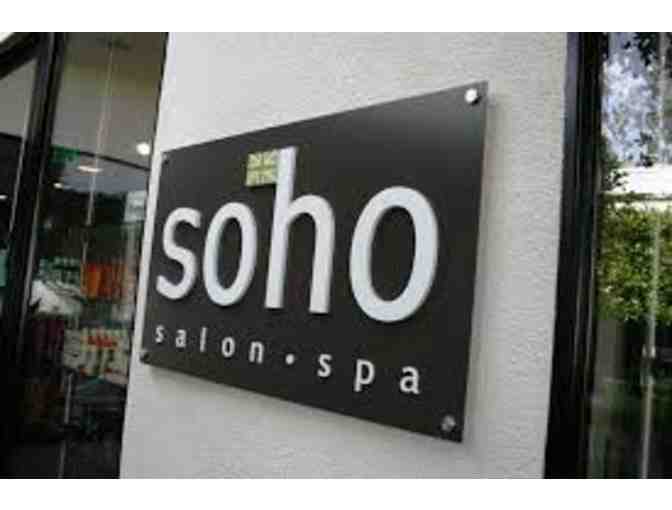 Soho Salon - $200 Gift Card Towards Any Service with Diane Crawford