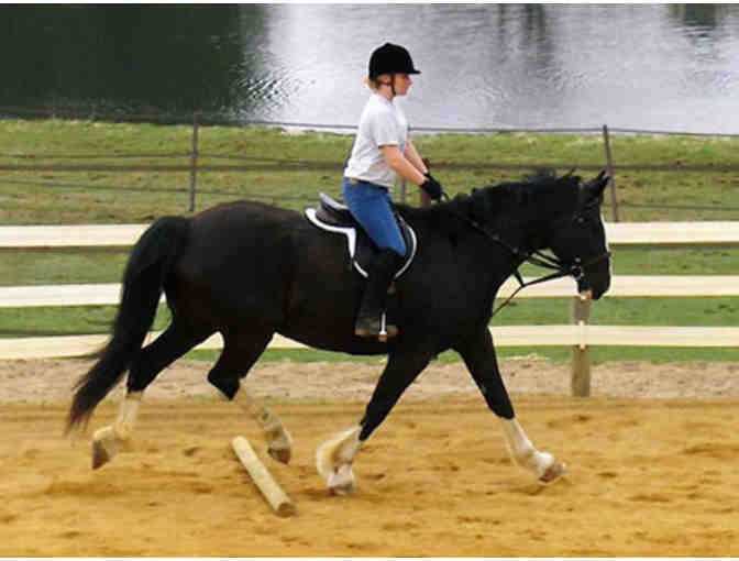 One Hour Horseback Riding Lesson at North Road Farm