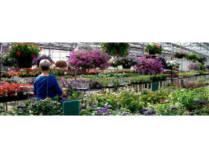 $50 to Wentworth Greenhouses!