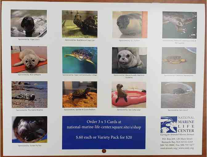 National Marine Life Center's 2021 Calendar