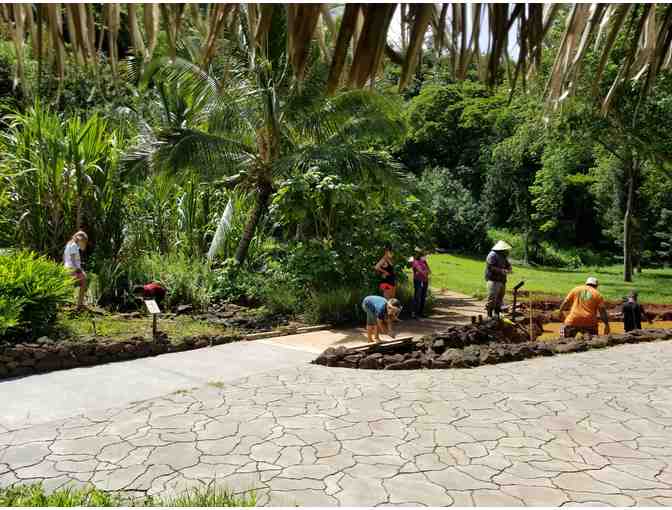 NTBG Keiki Activity - Canoe Garden