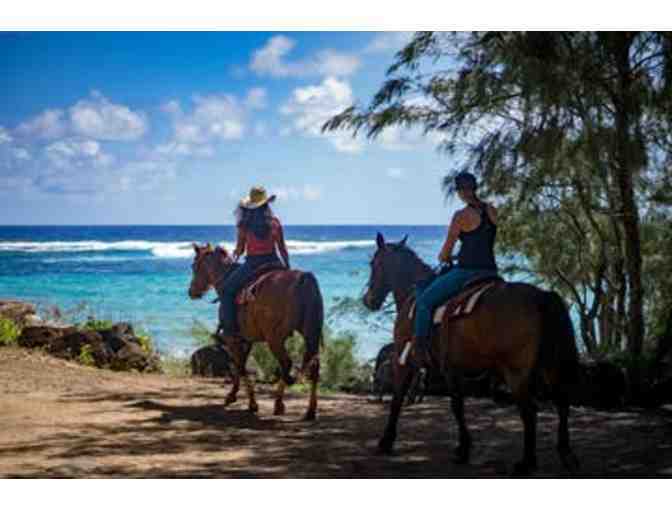 Maha'ulepu Scenic Ocean, Mountain, Valley Ride for 2 people - CJM Country Stables