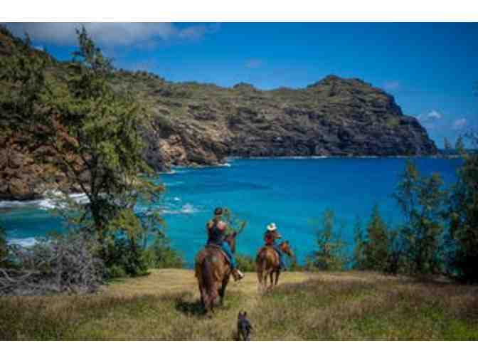 Maha'ulepu Scenic Ocean, Mountain, Valley Ride for 2 people - CJM Country Stables