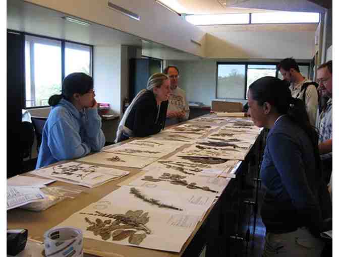 VIP Botanical Research Center & Rare Book Room Tour; Flora of the Marquesas Volumes 1 & 2