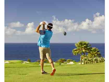 OPENING BID LOWERED - Round of golf and lunch for Four at The Club at Kukui'ula