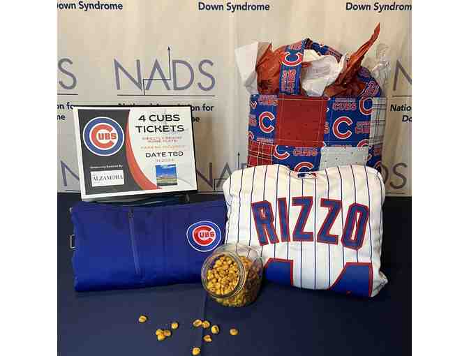 Auction - Cubs Fan - Photo 1