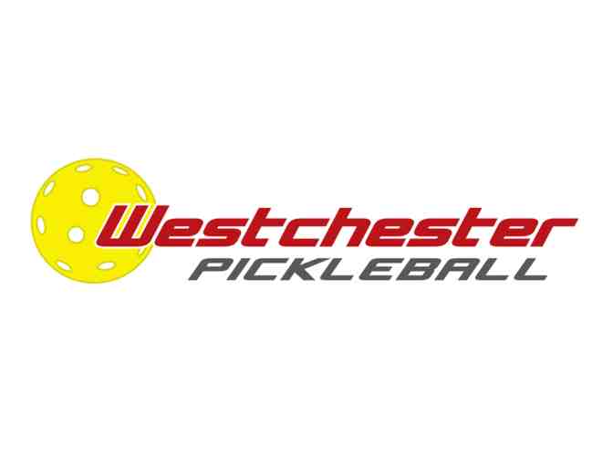 Pickleball clinic 1 hour lesson