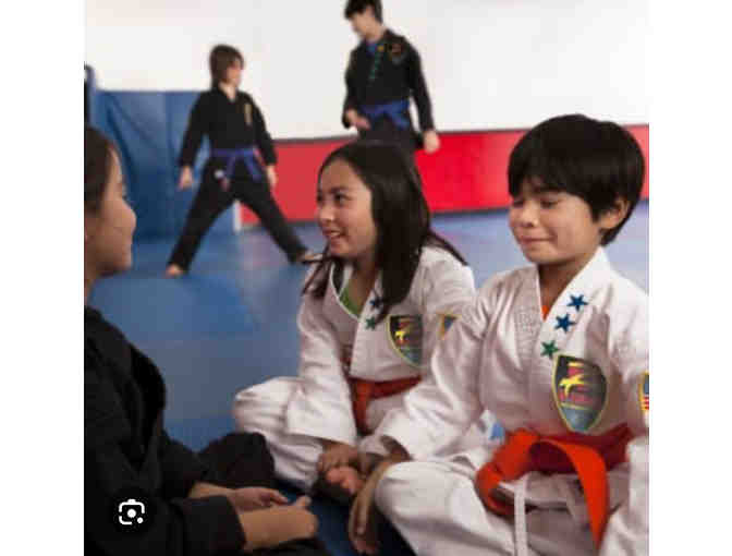 One month of private + group karate lessons + gi (the outfit)