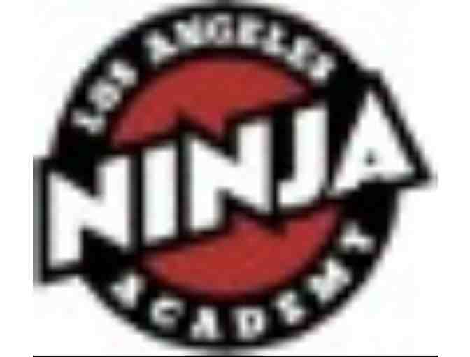 Ninja Warrior Obstacle Training