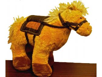 Kosher artisan Dark Chocolate Bark & Gund Stuffed Horse