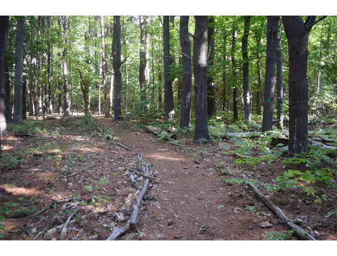 Guided Nature Walk at Sowams Woods - Photo 1