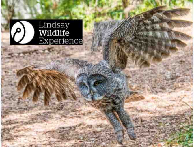 Lindsay Wildlife Experience - Passes for Fun with Animals