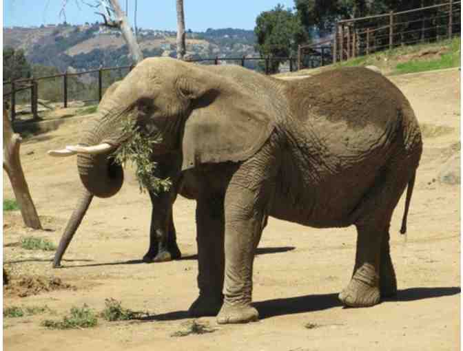 Oakland Zoo - Admit 2 Adults & 2 Children