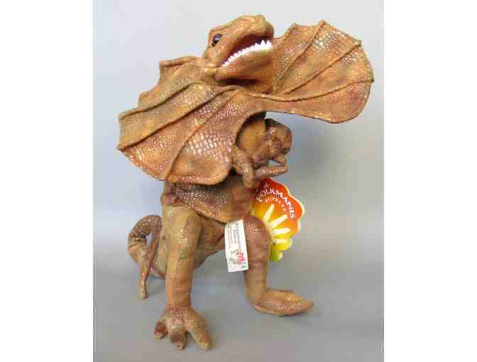 Puppet by Folkmanis - Frilled Lizard