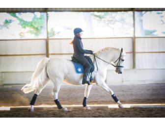 Private Horse Dressage Performance with Refreshments for 10 in Woodside Stables