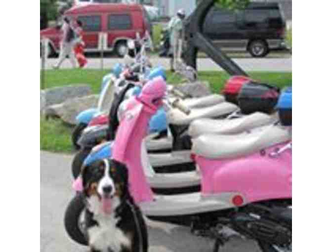 2 hour scooter rental - 2 scooters from Scooter Dogs