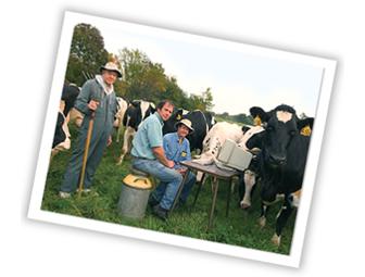 A Day on the Freund Family Farm