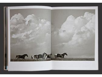 Sermo Per Equus, Limited Edition, by Bonnie Edelman