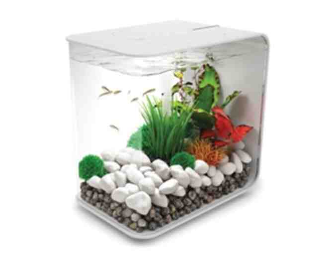 BiOrb Flow Aquarium