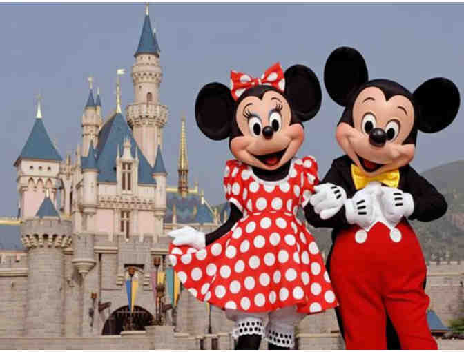 DISNEY THEME PARKS - Two One-Day Park-Hopper eTickets
