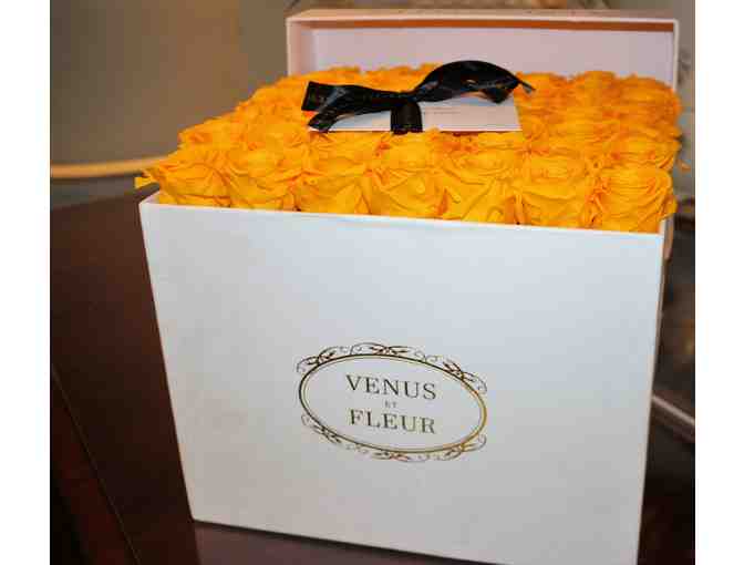 Venus et Fleur Large Box of Yellow Roses