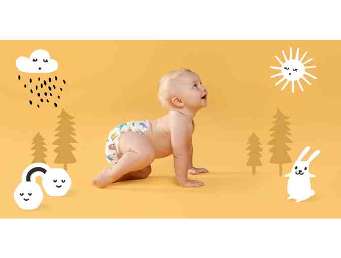 Hello Bello Baby Package + Minoshi Garden Atelier Oi Mobile