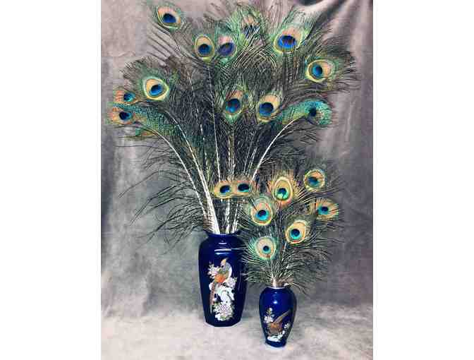 Pair of Petite Vases with Beautiful Peacock Feathers