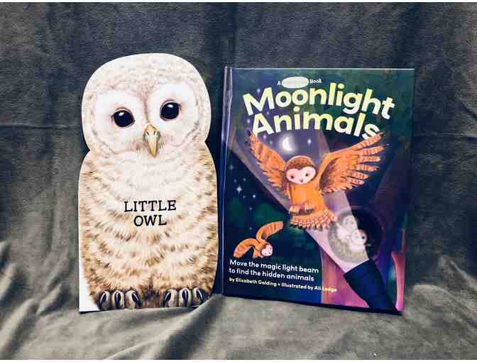 'Little Owl' and 'Moonlight Animals' Children's Books
