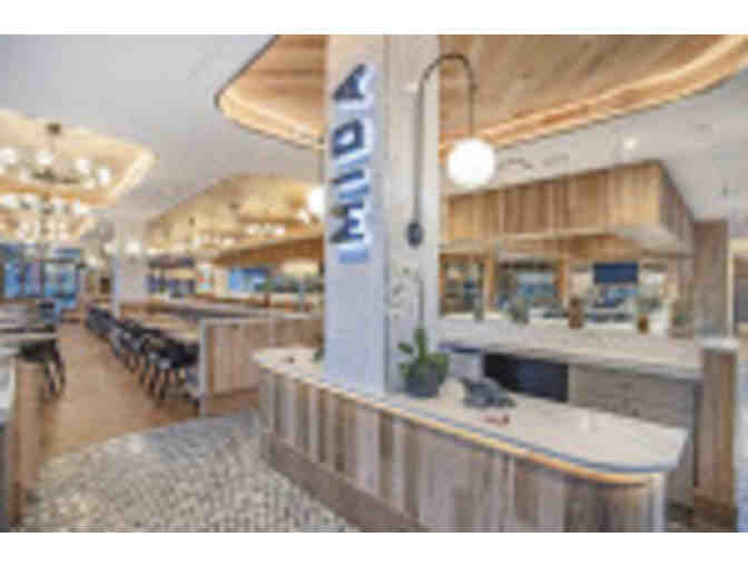 Mida Newton - Photo 1