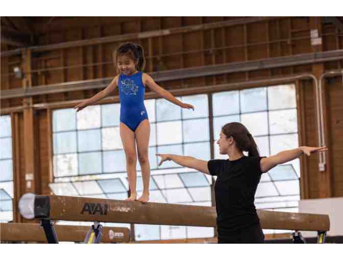 Rise Gym - 1 Free Month Gymnastics, Cheer, or Ninja Fitness