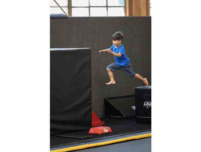 Rise Gym - 1 Free Month Gymnastics, Cheer, or Ninja Fitness