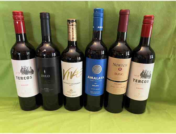 ARGENTINIAN WINES BY THE CASE