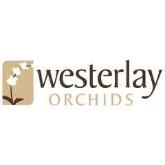 Westerlay Orchids
