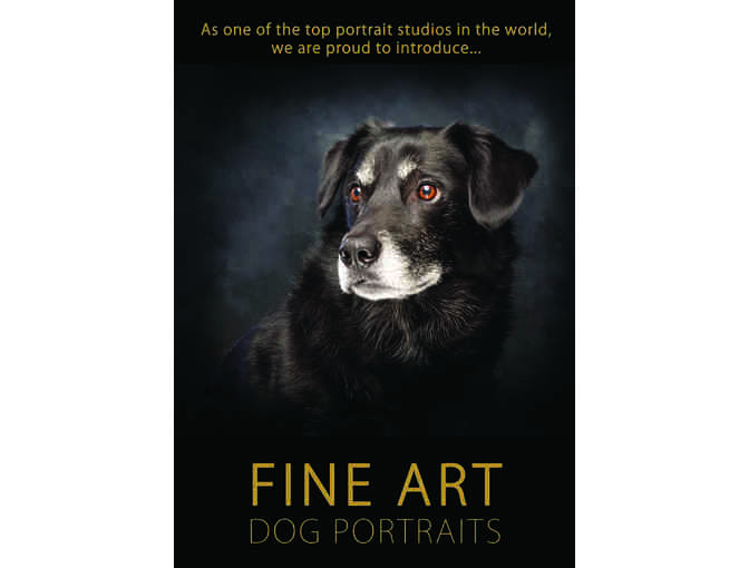 $1,000 Portrait Sitting with Artage Portraits