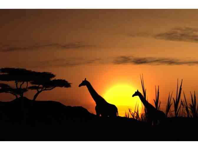 6 Nights at Zulu Nyala Heritage Safari Lodge